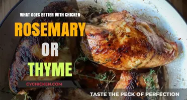 Rosemary vs. Thyme: Which Herb Elevates Your Chicken Dish Best?