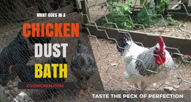 Unveiling the Secrets: What Chickens Use for Their Dust Baths