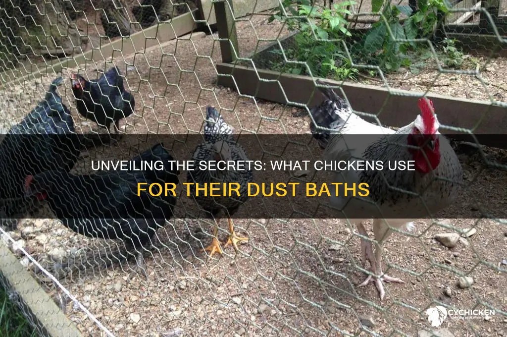 what goes in a chicken dust bath