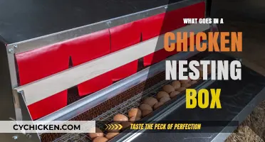 Essential Items for a Cozy Chicken Nesting Box Setup