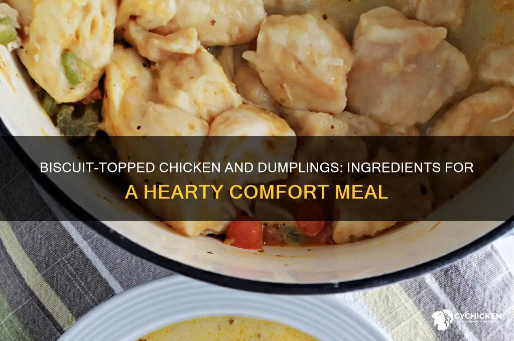 what goes in chicken and dumplings with biscuits