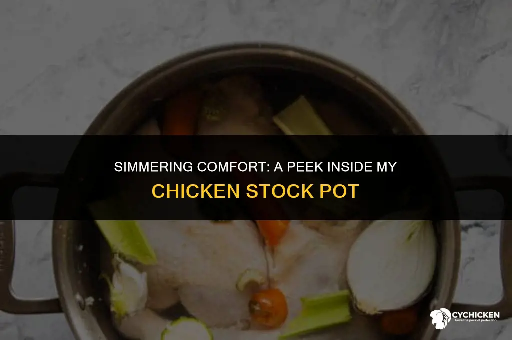 what goes into chicken stock pot