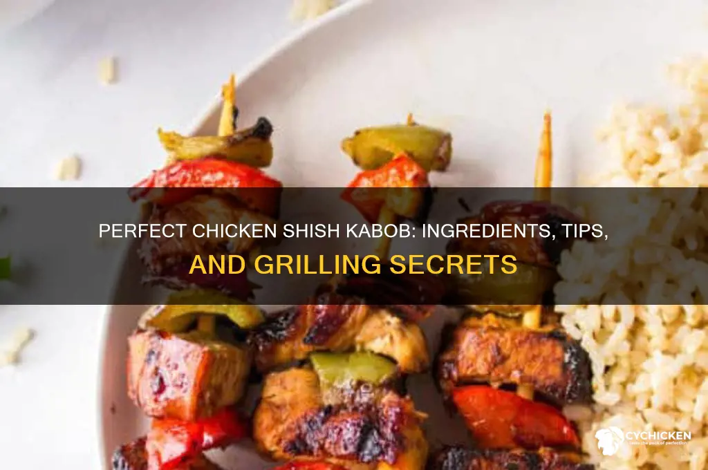 what goes on a chicken shish kabob