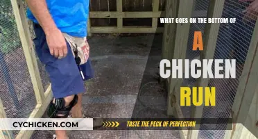Chicken Run Basics: What's Best for the Floor?