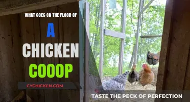 Chicken Coop Flooring: Best Materials and Setup