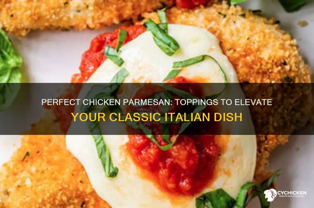 what goes on top of chicken parmesan