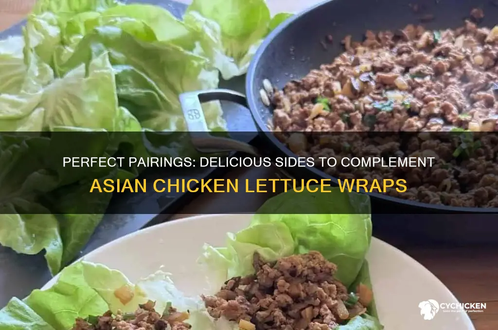 what goes well with asian chicken lettuce wraps