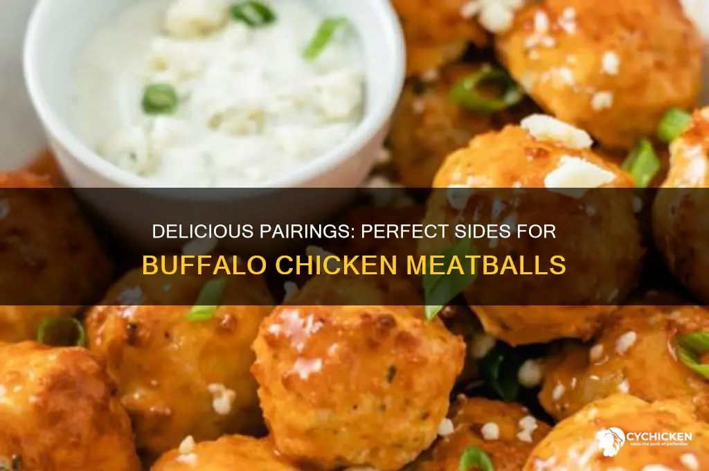what goes well with buffalo chicken meatballs