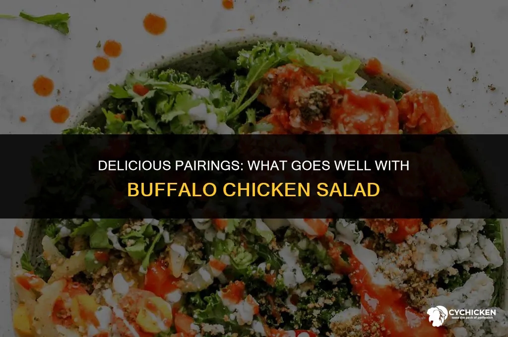 what goes well with buffalo chicken salad