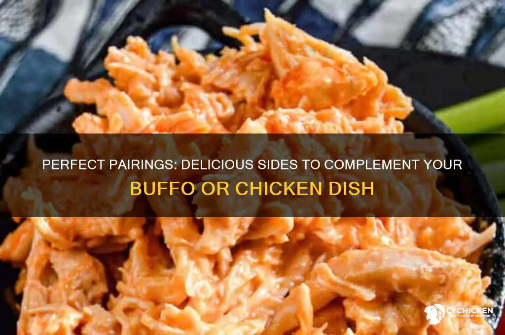 what goes well with buffo o chicken