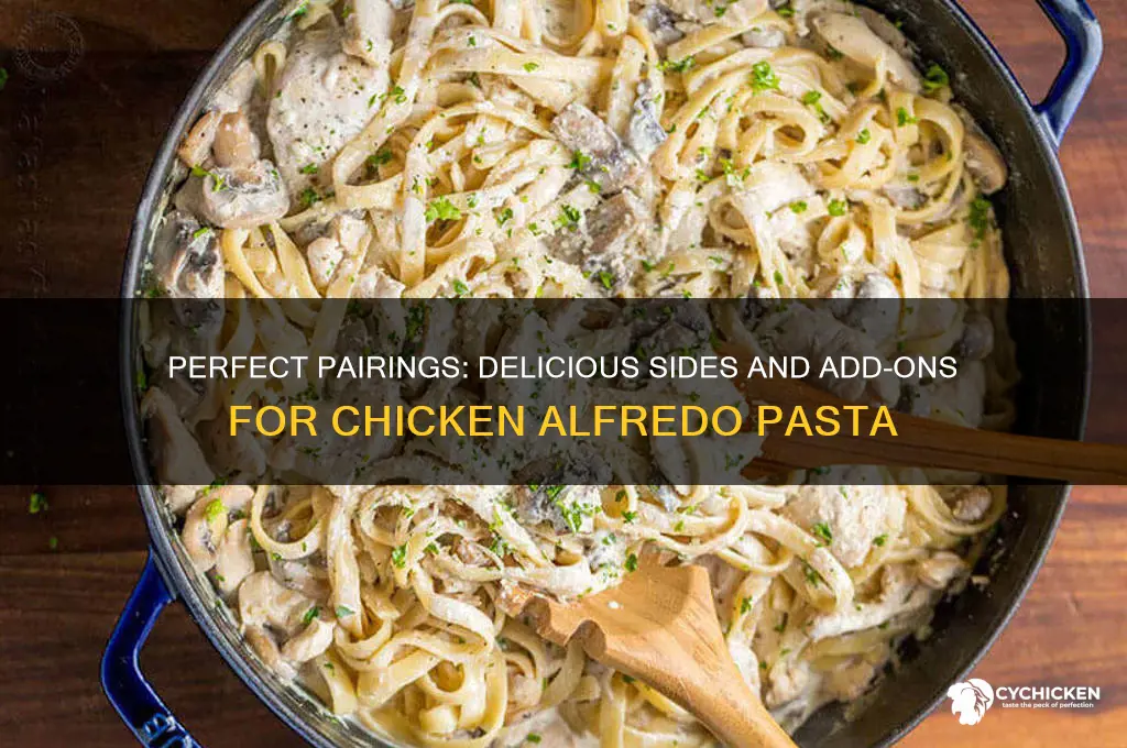 what goes well with chicken alfredo pasta