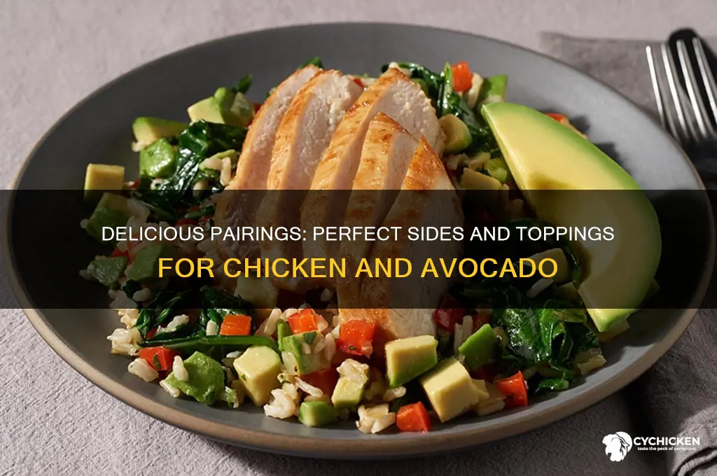 what goes well with chicken and avocado
