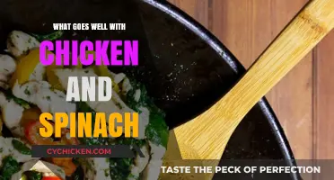 Delicious Pairings: Perfect Sides and Sauces for Chicken and Spinach