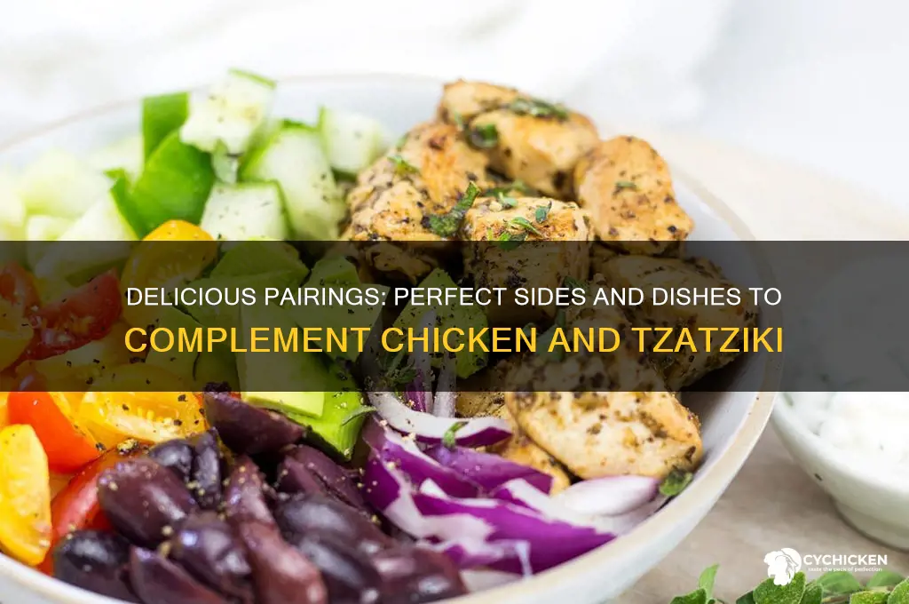 what goes well with chicken and tzatziki