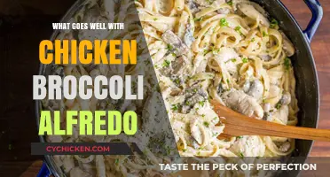 Perfect Pairings: Delicious Sides to Complement Chicken Broccoli Alfredo