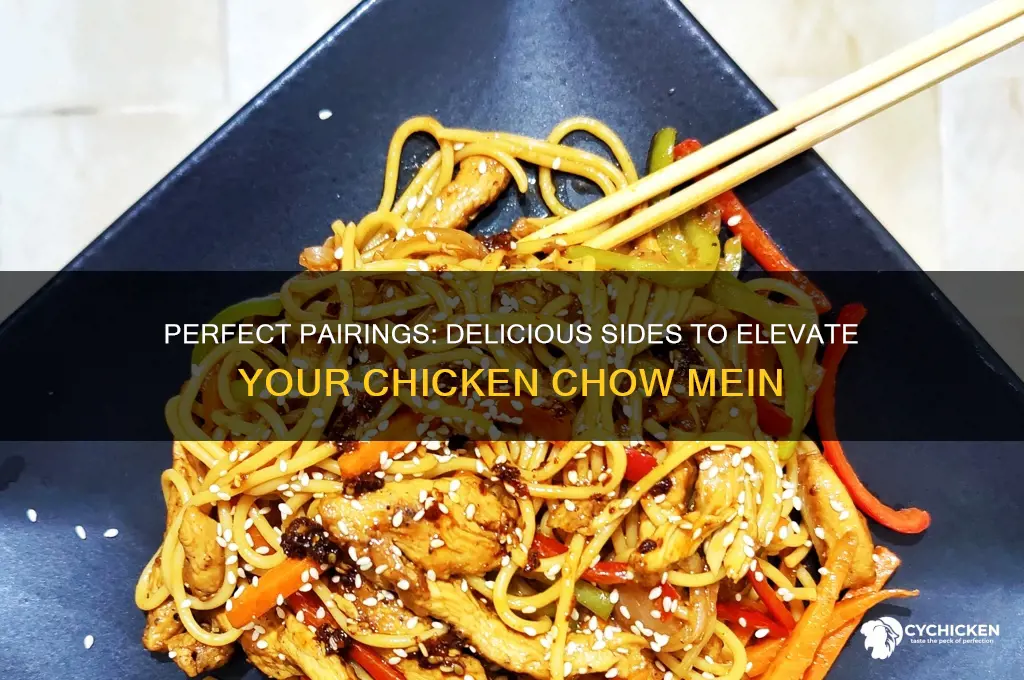 what goes well with chicken chow mein