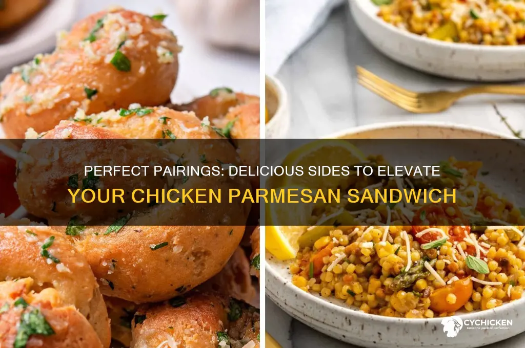 what goes well with chicken parmesan sandwiches