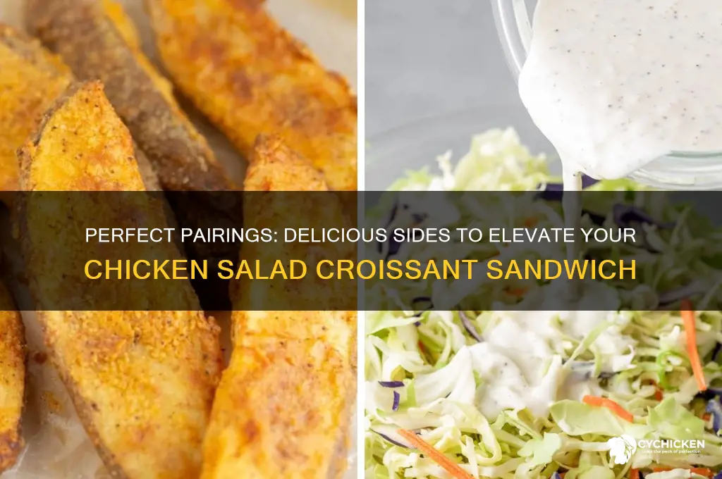 what goes well with chicken salad croissant sandwiches