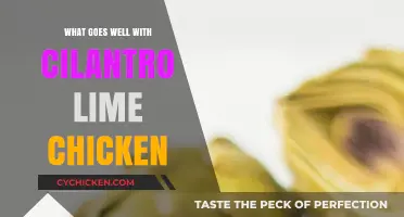 Perfect Pairings: Delicious Sides to Complement Cilantro Lime Chicken