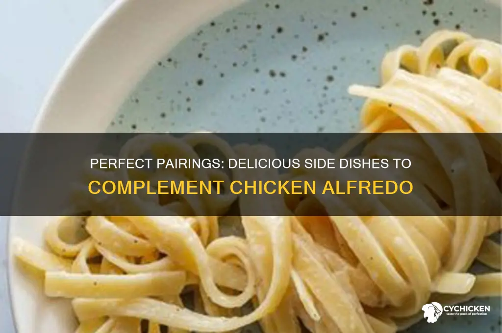 what goes with chicken alfredo as a side