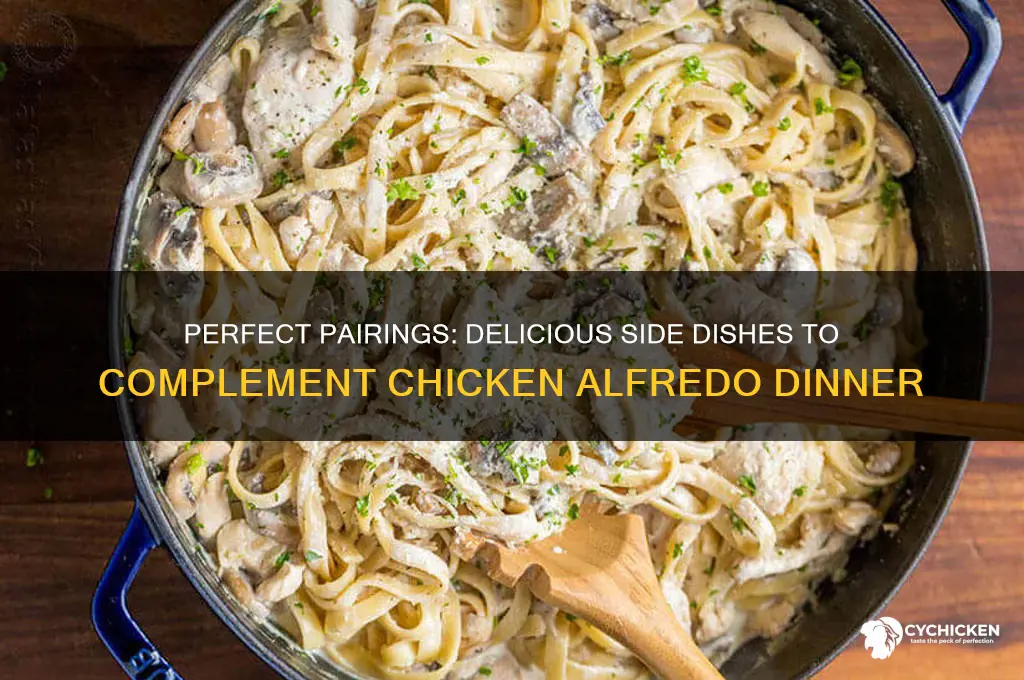 what goes with chicken alfredo for dinner
