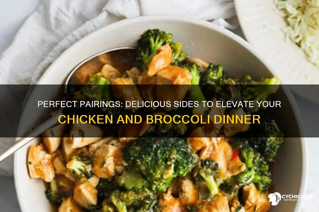 what goes with chicken and broccoli dinner