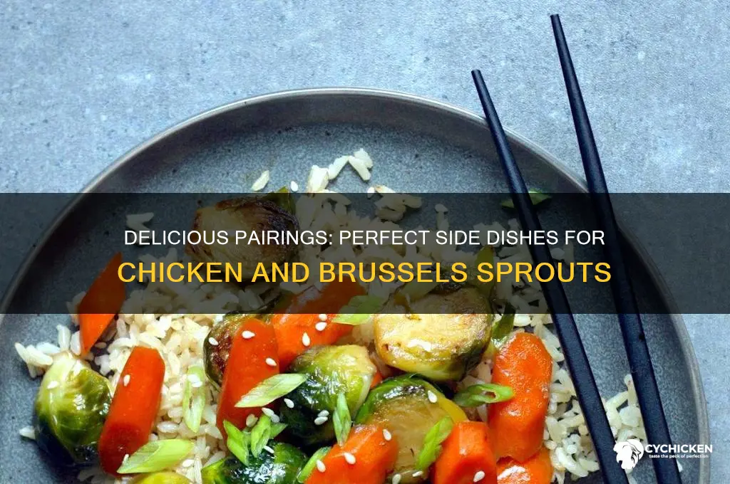 what goes with chicken and brussel sprouts