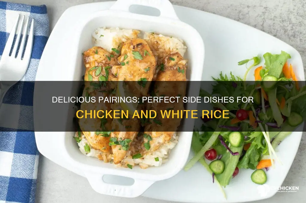 what goes with chicken and white rice