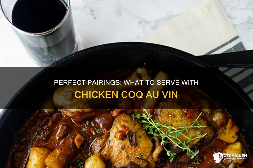 what goes with chicken coq au vin