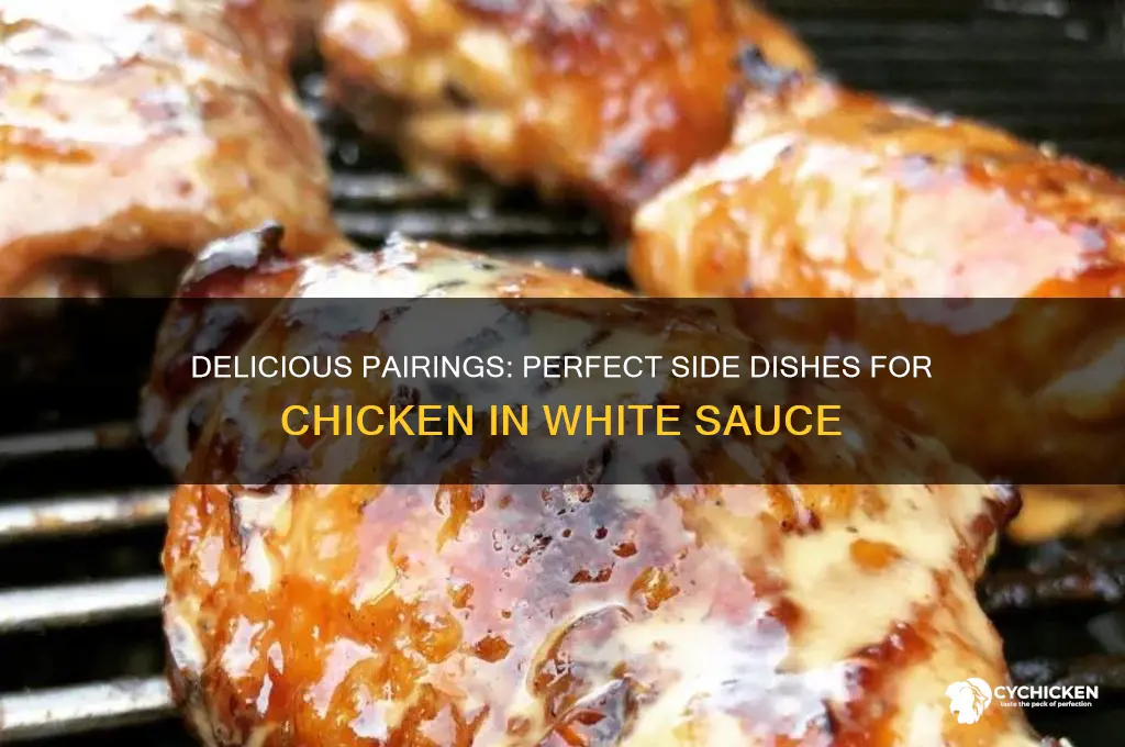 what goes with chicken in white sauce