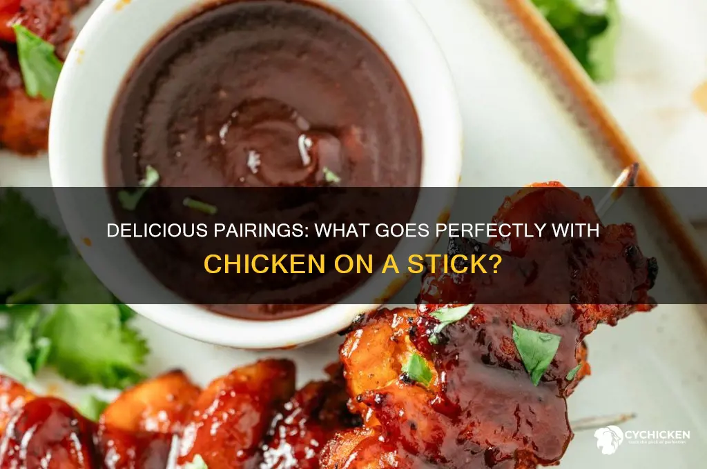 what goes with chicken on a stick