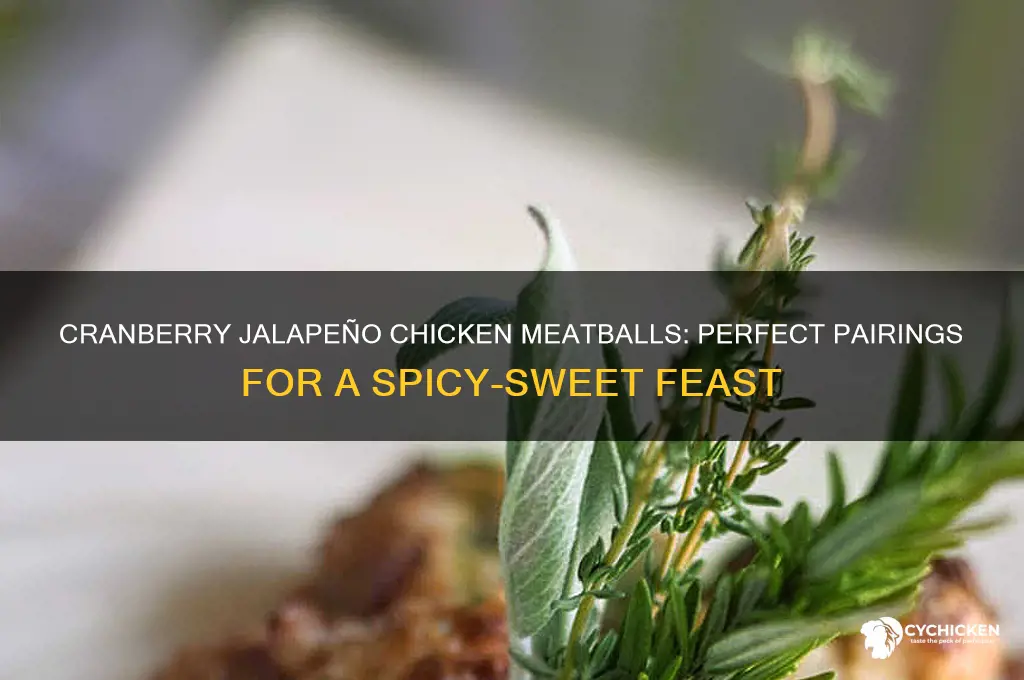 what goes with cranberry jalapeno chicken meatballs