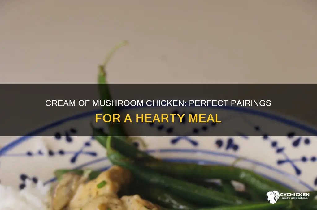 what goes with cream of mushroom chicken