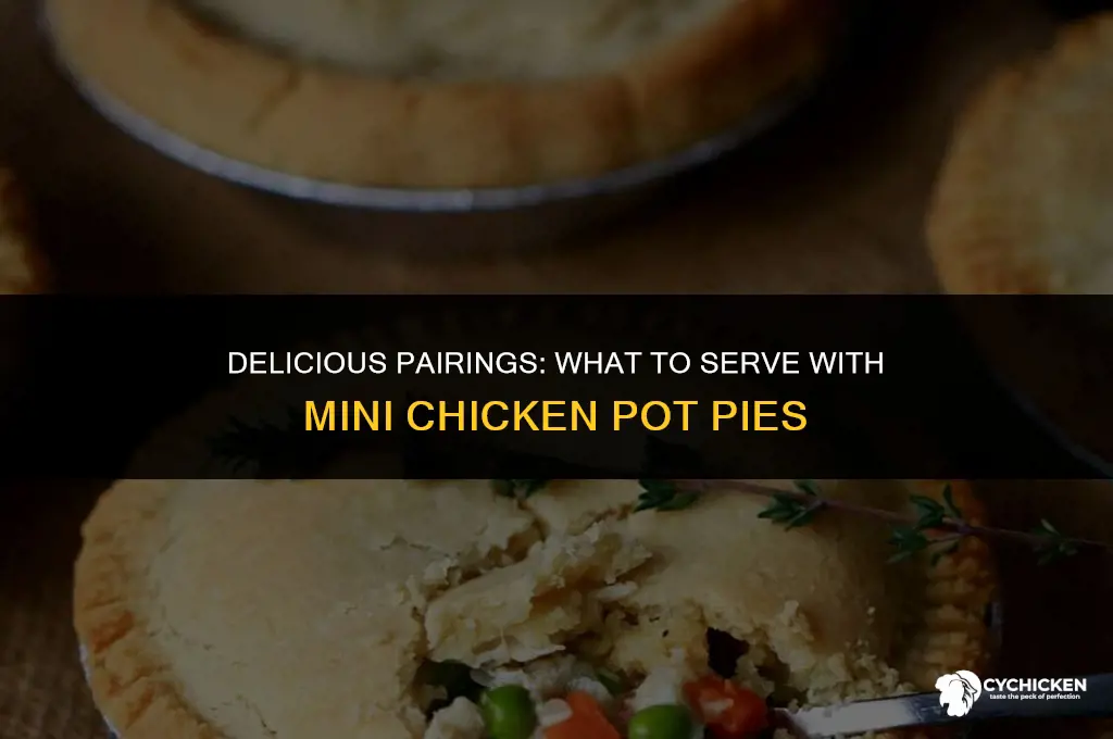what goes with mini chicken pot pies
