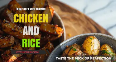 Perfect Pairings: Delicious Sides to Elevate Teriyaki Chicken and Rice