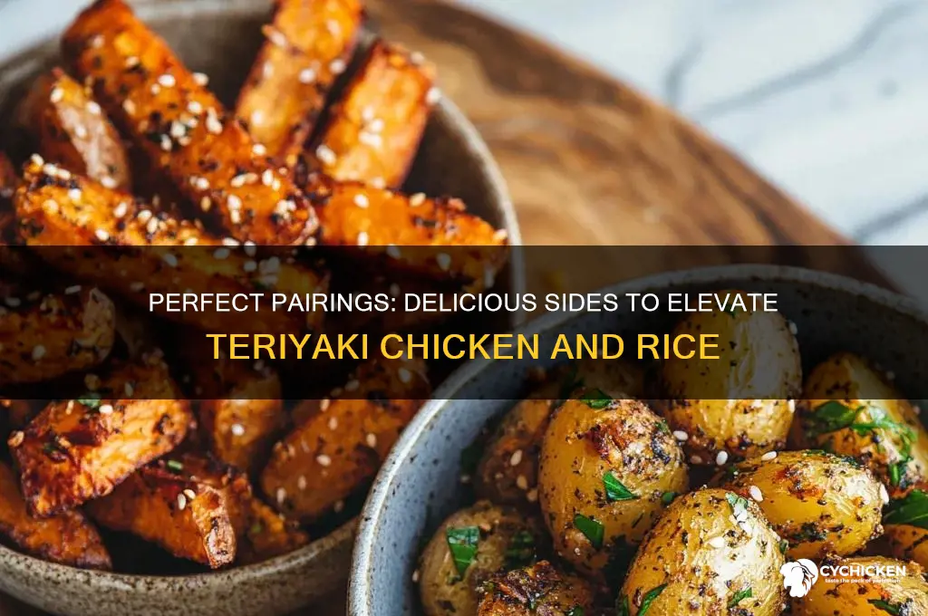 what goes with teriyaki chicken and rice