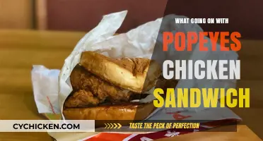 Popeyes Chicken Sandwich Craze: What's Behind the Fast-Food Frenzy?