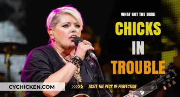 The Dixie Chicks' Controversial Statement: Backlash and Consequences Explained