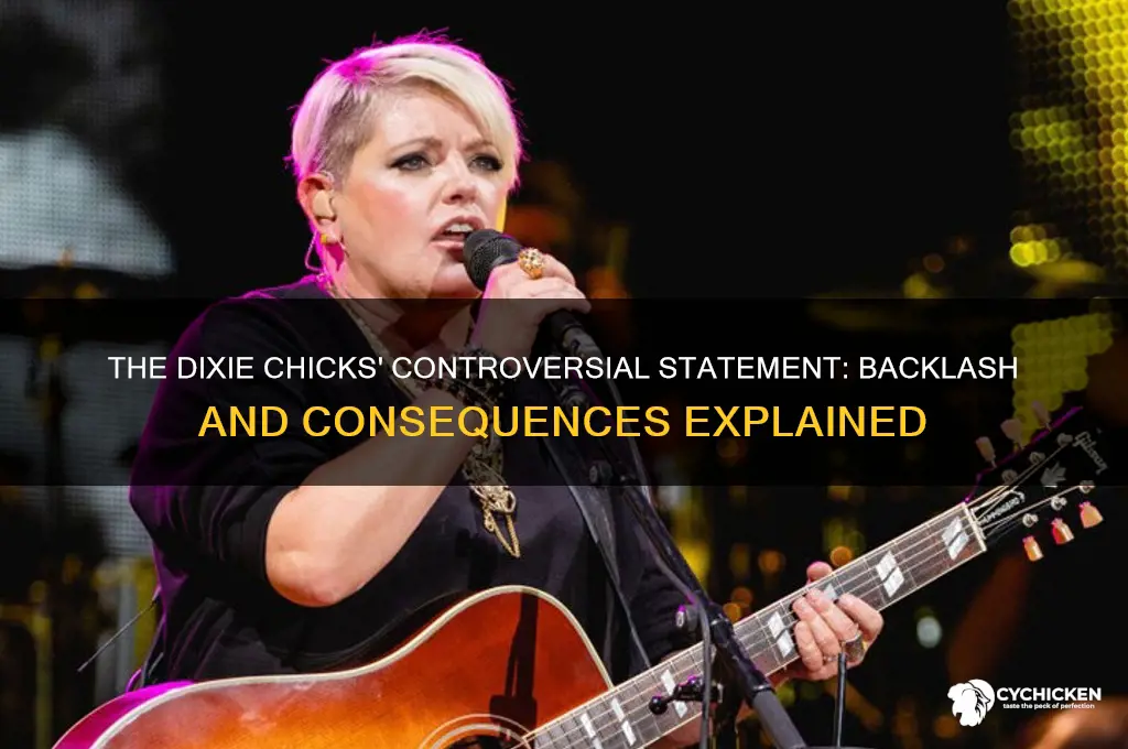 what got the dixie chicks in trouble