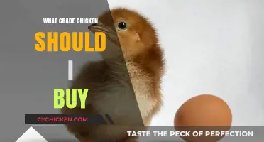 Choosing the Right Chicken Grade: A Buyer's Guide to Quality Poultry