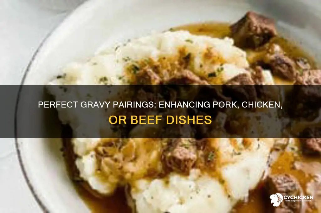 what gravy goes with pork chicken or beef