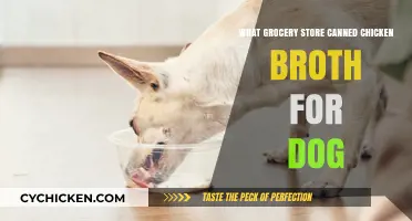 Exploring the Best Canned Chicken Broth Options for Your Dog