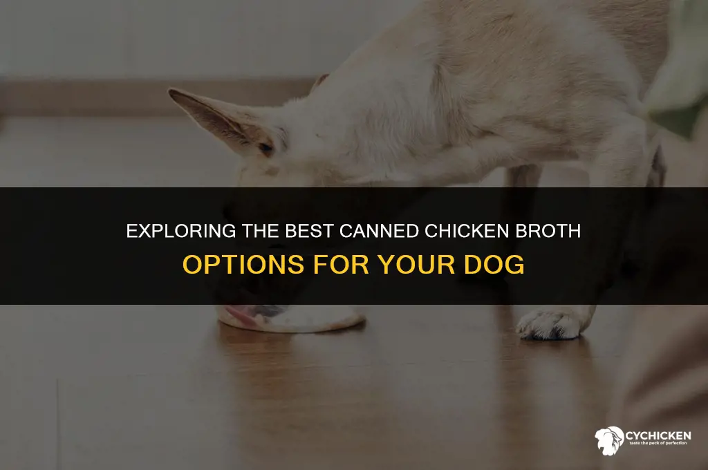 what grocery store canned chicken broth for dog