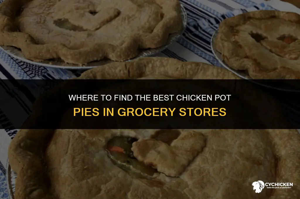 what grocery store has chicken pot pies