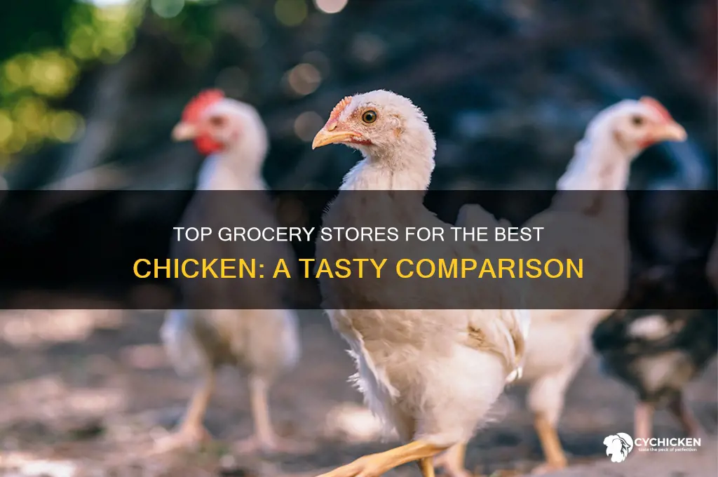what grocery store has the best chicken