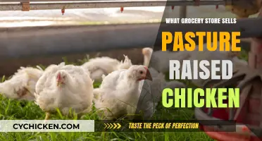 Where to Buy Pasture-Raised Chicken: Top Grocery Stores Revealed