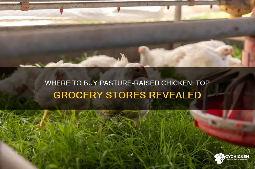 what grocery store sells pasture raised chicken