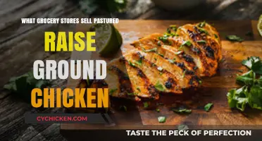 Where to Buy Pasture-Raised Ground Chicken: Top Grocery Stores