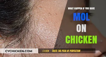 Moles on Chickens: Causes, Concerns, and Proper Handling Explained