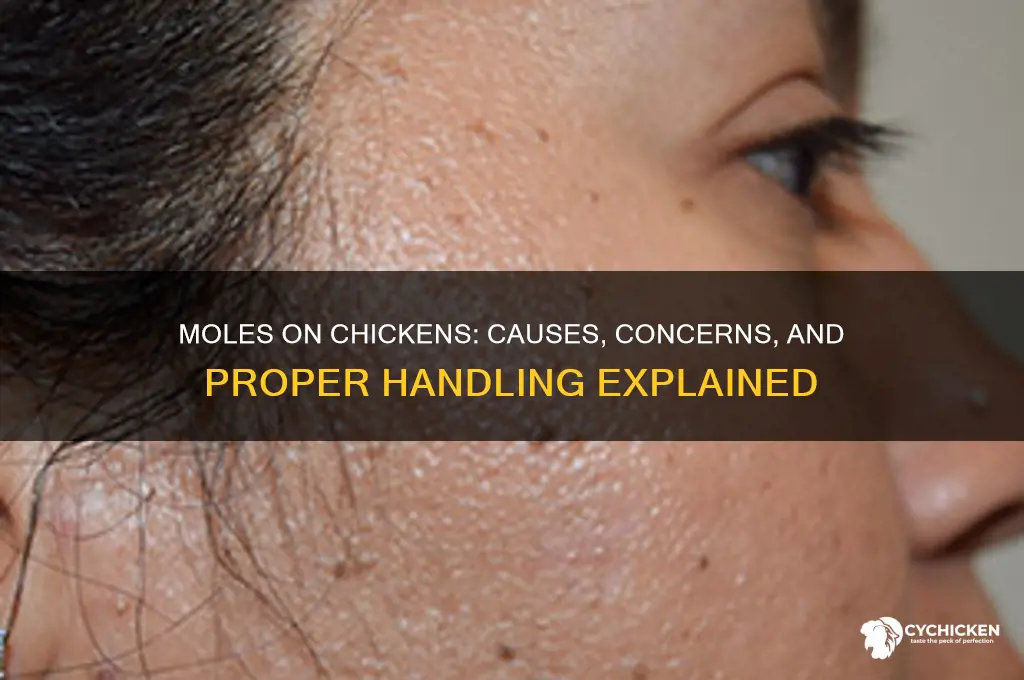 what happen if you have mol on chicken